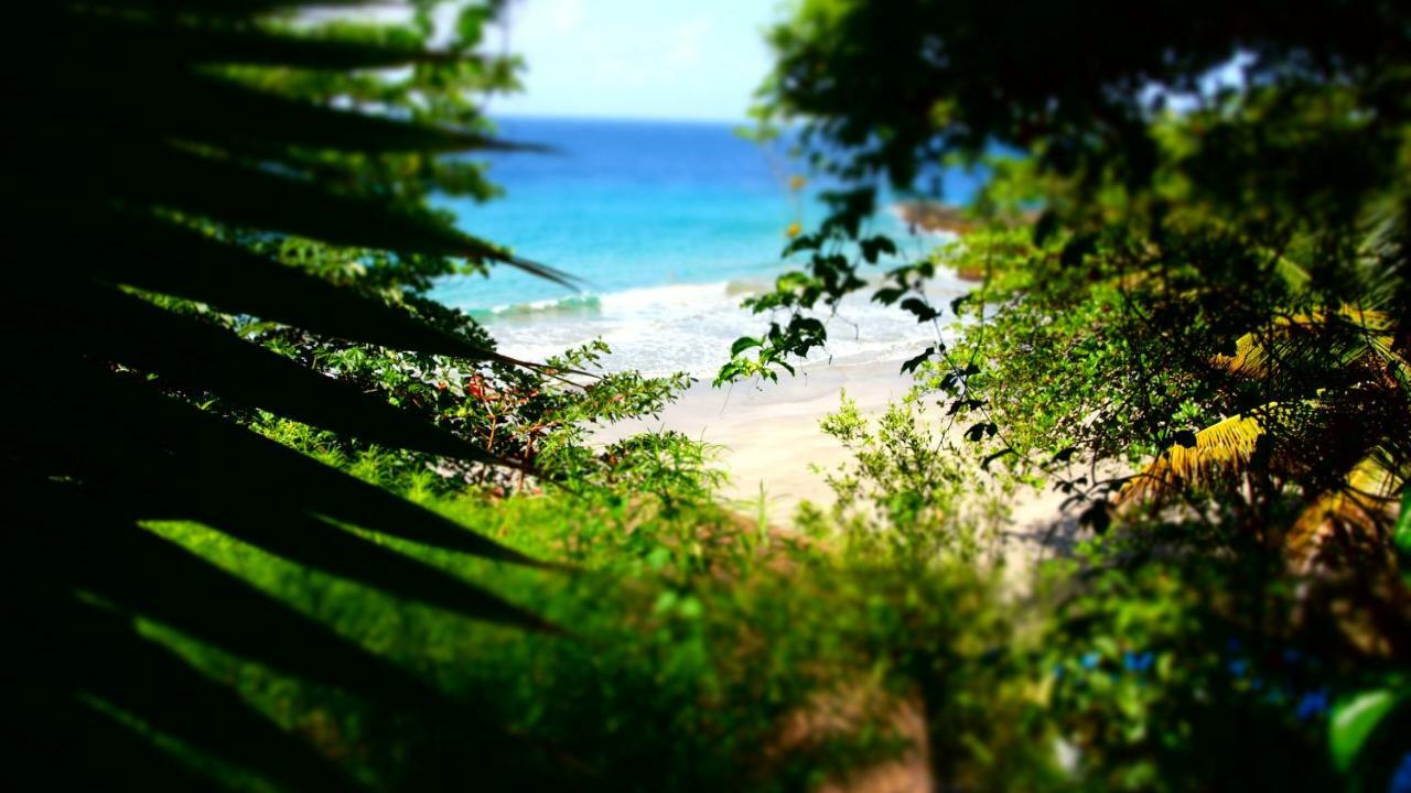 Bacolet Beach Club Scarborough Exteriör bild